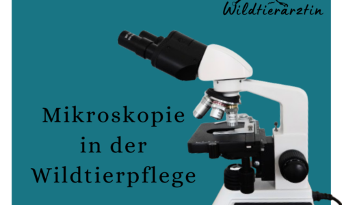 Mikroskopie in der Wildtierpflege