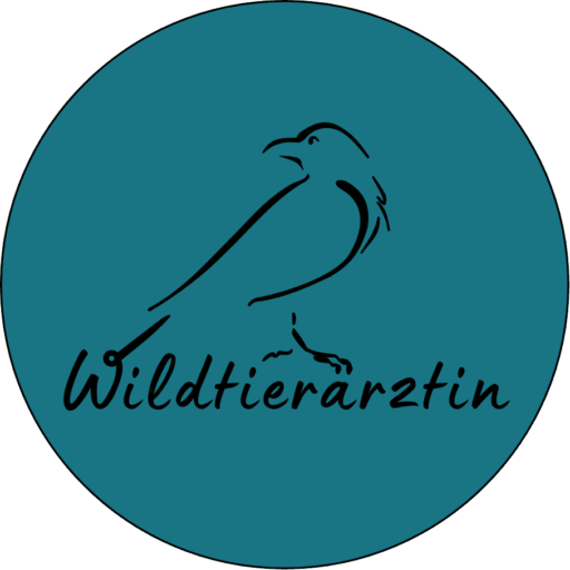 Kursraum auf wildtieraerztin.de